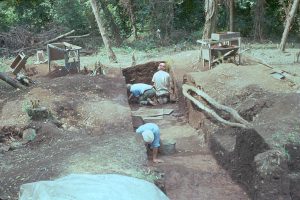 View of excavations at the Hardaway site in 1975 (courtesy of the Research Laboratories of Archaeology). 