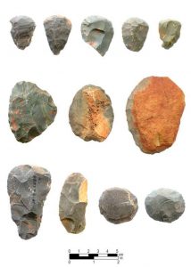 Chipped-stone tools from Late Paleo-Indian and Early Archaic contexts at the Hardaway site: (photo courtesy of Research Labs of Archaeology)