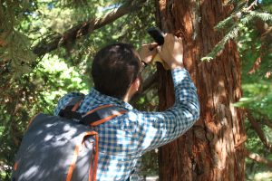 Robert Williams take a picture of and collects a bark sample for the Walkabout exercise. (photo by Beth Lawrence)