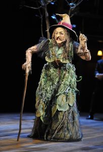 Lisa Brescia as The Witch in "Into the Woods." (photo by Jon Gardiner).