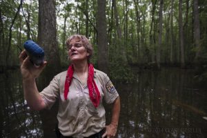 Jean Richter is the head biologist at Roanoke River National Wildlife Refuge. Whether by boat, 4 by 4 or on foot, she most often treks alone into the most remote swamplands of North Carolina to tag wildlife and monitor flooding. (photo by Clare Fieseler)