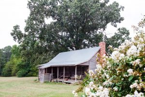They visited the home of N.C. Poet Laureate Shelby Stephenson for one of their weekly features. (photo courtesy of Bit & Grain)