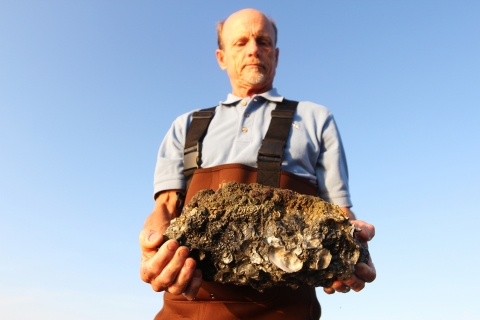Lindquist holds up a block of his fast-growing oysters behind the UNC Institute of Marine Sciences. (photo by Mary Lide Parker)