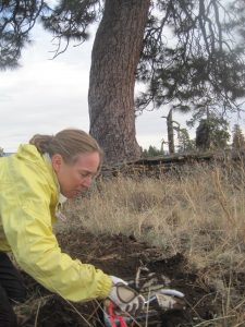 Erika Wise, an assistant professor in the department of geography, is an expert in the field of dendrochronology -- the scientific method of dating tree rings -- which in some cases is accurate to the exact year.