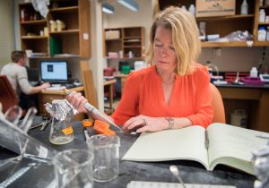 Amy Gladfelter, an associate professor of biology in the College of Arts and Sciences, has discovered intricate mechanisms by which cells divide and how they organize themselves during the process of division. (photo by Jon Gardiner)
