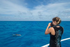 Liah McPherson looking for dolphins in the Bahamas. Photo by Bethany Augliere.
