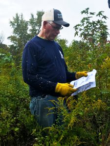 Dougherty works with volunteers to help harvest the saplings.